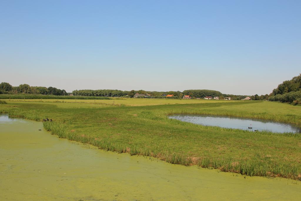 Vakantiepark Delftse Hout Delft