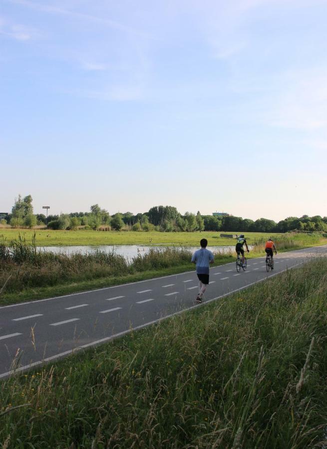 Vakantiepark Delftse Hout
